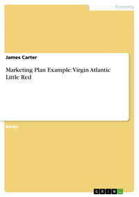 Marketing Plan Example: Virgin Atlantic Little Red - James Carter - E-Book
