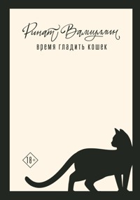 Время гладить кошек - Ринат Валиуллин - E-Book