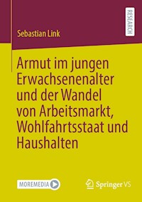 Armut im jungen Erwachsenenalter und der Wandel von Arbeitsmarkt, Wohlfahrtsstaat und Haushalten - Sebastian Link - E-Book