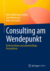 Consulting am Wendepunkt - Peter Wollsching-Strobel - E-Book