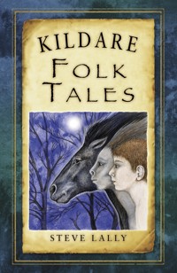 Kildare Folk Tales - Steve Lally - E-Book