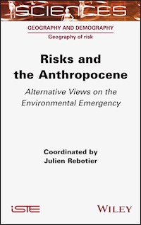 Risks and the Anthropocene - Julien Rebotier - E-Book