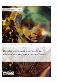 Unbegleitete minderjährige Flüchtlinge. Allein auf dem Weg in eine bessere Zukunft - Anna Efler - E-Book