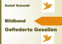 Gefiederte Gesellen - Detlef Schmidt - E-Book
