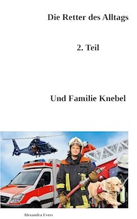 Die Retter des Alltags Teil 2 - Alexandra Evers - E-Book
