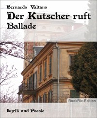Der Kutscher ruft - Bernardo Valtano - E-Book