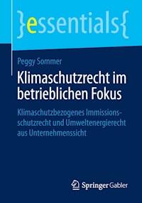 Klimaschutzrecht im betrieblichen Fokus - Peggy Sommer - E-Book