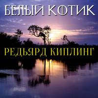 Белый котик - Редьярд Киплинг - Hörbuch