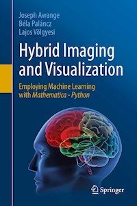 Hybrid Imaging and Visualization - Joseph Awange - E-Book