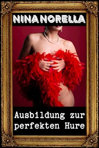 Ausbildung zur perfekten Hure - Nina Norella - E-Book