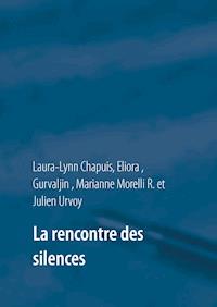 La rencontre des silences - Laura-Lynn Chapuis - E-Book