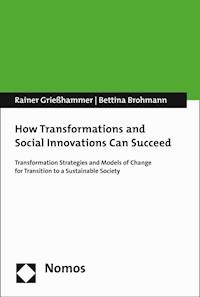 How Transformations and Social Innovations Can Succeed - Bettina Brohmann - E-Book
