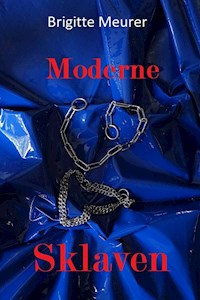 Moderne Sklaven - Brigitte Meurer - E-Book