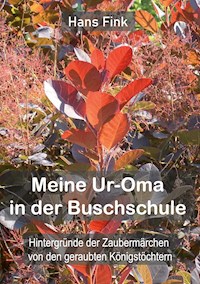 Meine Ur-Oma in der Buschschule - Hans Fink - E-Book