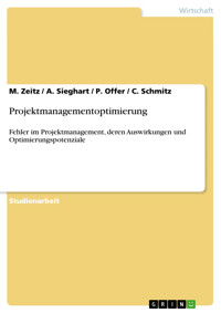 Projektmanagementoptimierung - M. Zeitz - E-Book