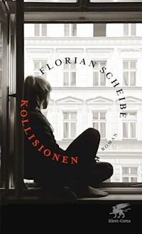 Kollisionen - Florian Scheibe - E-Book