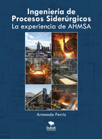Ingeniería de procesos siderúrgicos - Armando Ferriz - E-Book