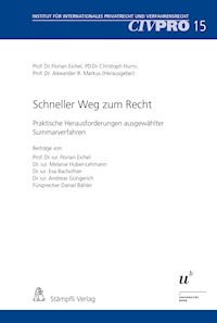 Schneller Weg zum Recht - Eva Bachofner - E-Book