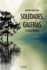 Soledades, galerías y otros poemas - Antonio Machado - E-Book