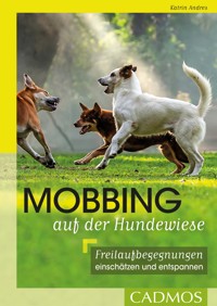 Mobbing auf der Hundwiese - Katrin Andres - E-Book