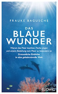 Das blaue Wunder - Frauke Bagusche - E-Book