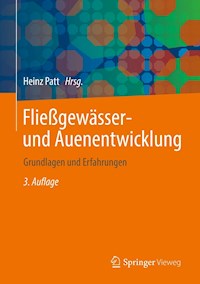 Fließgewässer- und Auenentwicklung -  - E-Book