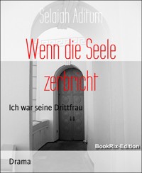 Wenn die Seele zerbricht - Selaiah Aditum - E-Book