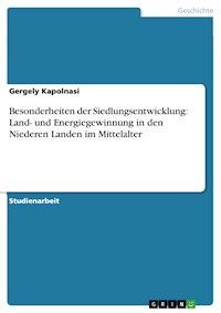 Besonderheiten der Siedlungsentwicklung: Land- und Energiegewinnung in den Niederen Landen  im Mittelalter - Gergely Kapolnasi - E-Book