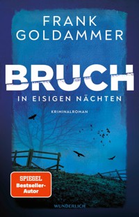 Bruch: In eisigen Nächten - Frank Goldammer - E-Book