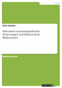 Prävention sportartspezifischer Verletzungen und Risiken beim Wellenreiten - Erik Schulte - E-Book
