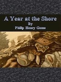 A Year at the Shore - Philip Henry Gosse - E-Book