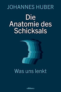 Die Anatomie des Schicksals - Johannes Huber - E-Book