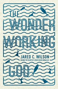 The Wonder-Working God - Jared C. Wilson - E-Book