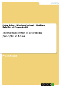 Enforcement issues of accounting principles in China - Peter Schulz - E-Book