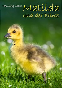 Matilda und der Prinz - Henning Marx - E-Book