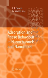 Adsorption and Phase Behaviour in Nanochannels and Nanotubes - - E-Book