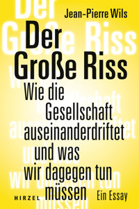 Der Große Riss - Jean-Pierre Wils - E-Book