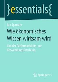 Wie ökonomisches Wissen wirksam wird - Jan Sparsam - E-Book
