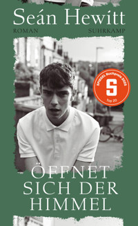 Öffnet sich der Himmel - Seán Hewitt - E-Book