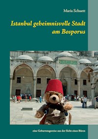 Istanbul geheimnisvolle Stadt am Bosporus - Maria Schuett - E-Book
