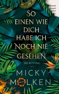 So einen wie dich habe ich noch nie gesehen - Micky Molken - E-Book