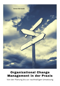 Organizational Change Management in der Praxis - Anton Berstedt - E-Book