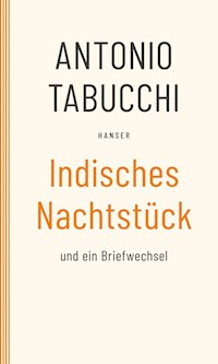 Indisches Nachtstück und Ein Briefwechsel - Antonio Tabucchi - E-Book