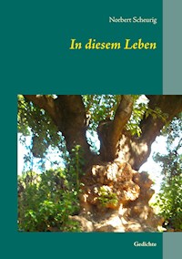 In diesem Leben - Norbert Scheurig - E-Book