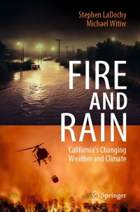 Fire and Rain - Stephen LaDochy - E-Book