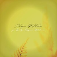 Autogene Meditation zum Beruhigen, Entspannen, Runterkommen (XXL-Bundle) - Institut für Burnout-Prävention - Hörbuch