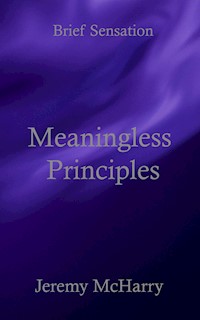 Meaningless Principles - Jeremy McHarry - E-Book