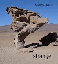 strange! - Manfred Rebele - E-Book