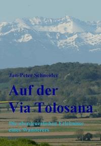 Auf der Via Tolosana - Jan-Peter Schneider - E-Book