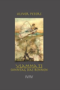 Sonntag das Rennen - Oliver Peters - E-Book
